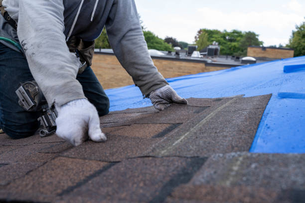 Steel Roofing in Fellsmere, FL